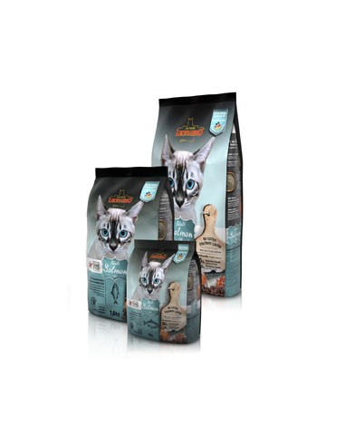 LEONARDO® Adult Salmon GrainFree