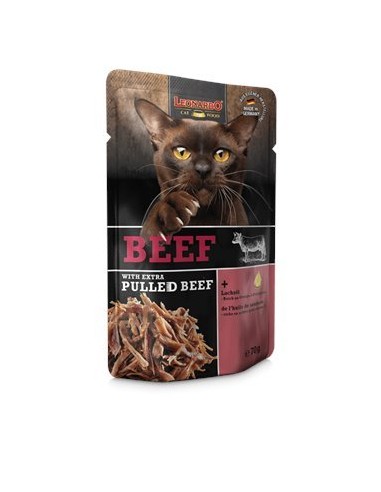 Leonardo Beef + extra pulled beef...