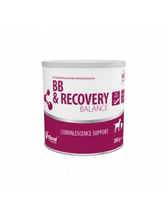 BB & Recovery Balance