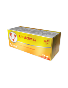 Citroactiv B6