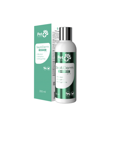 Septi Derm Shampoo