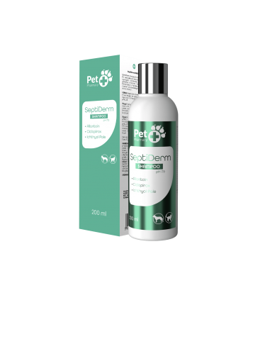 Septi derm shampoo 200 ml